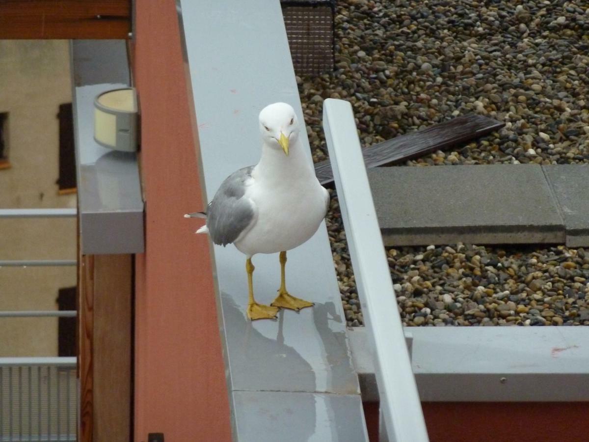 "Bien Vivre Ensemble" Aux Marches Du Soleil - Chambres Privees Chez L'Habitant Dans Appartement Partage Sète Buitenkant foto