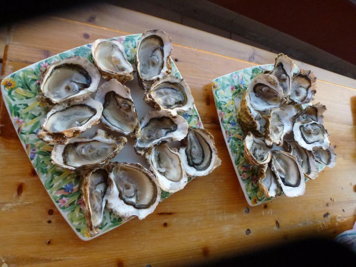"Bien Vivre Ensemble" Aux Marches Du Soleil - Chambres Privees Chez L'Habitant Dans Appartement Partage Sète Buitenkant foto