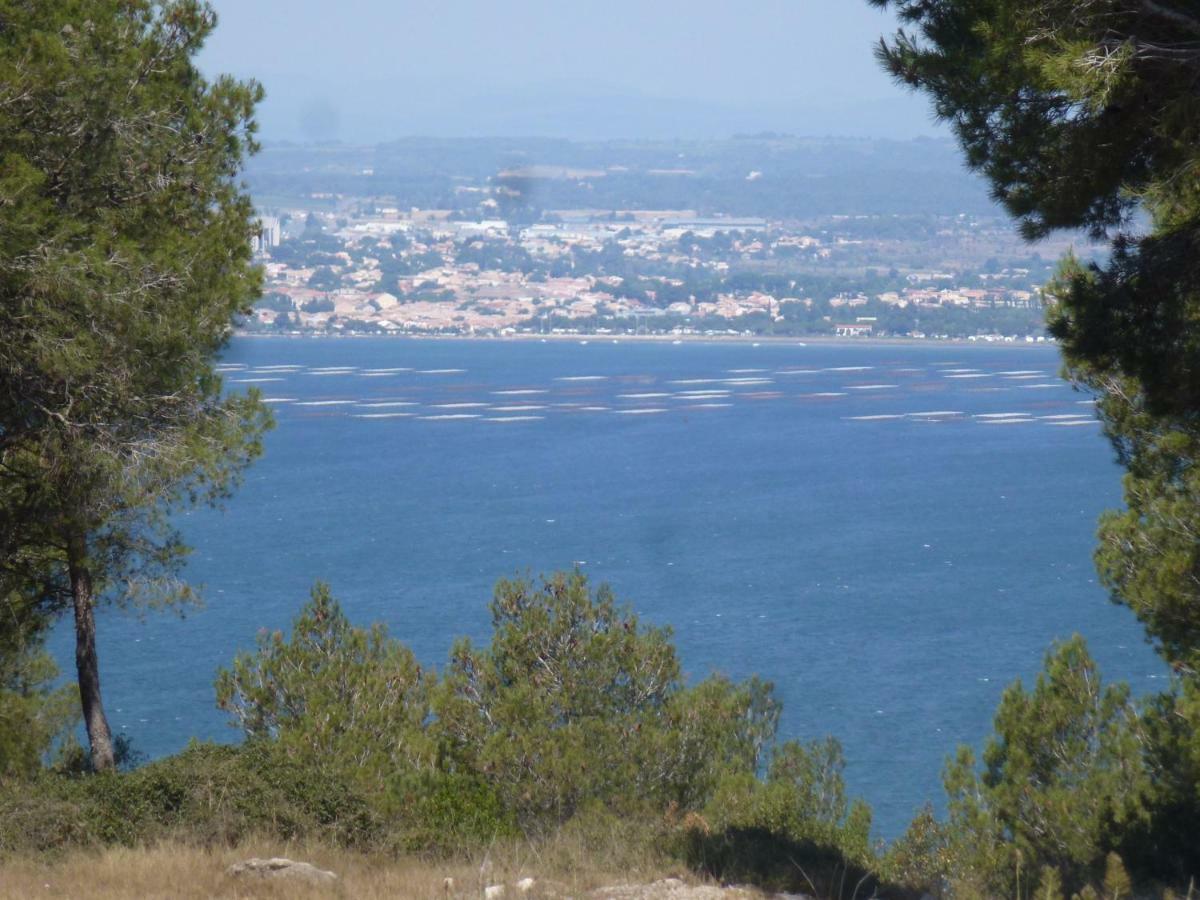 "Bien Vivre Ensemble" Aux Marches Du Soleil - Chambres Privees Chez L'Habitant Dans Appartement Partage Sète Buitenkant foto